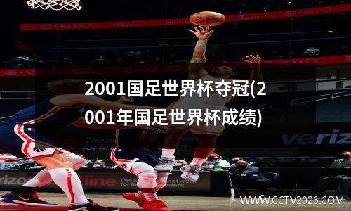 2001国足世界杯夺冠(2001年国足世界杯成绩)