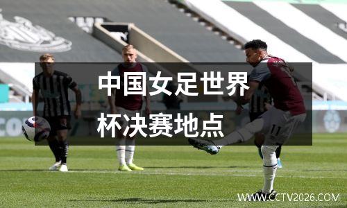 中国女足世界杯决赛地点