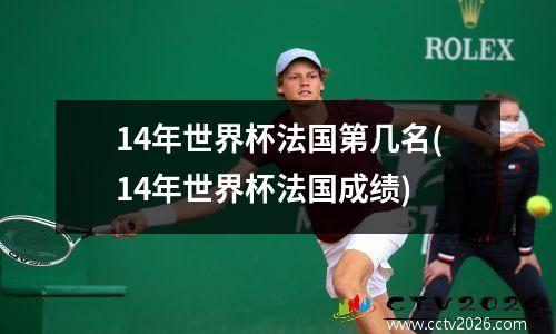 14年世界杯法国第几名(14年世界杯法国成绩)