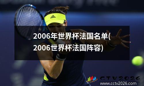 2006年世界杯法国名单(2006世界杯法国阵容)
