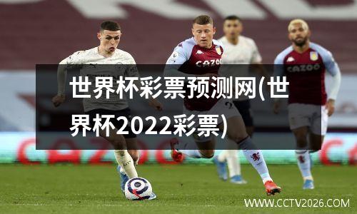 世界杯彩票预测网(世界杯2022彩票)