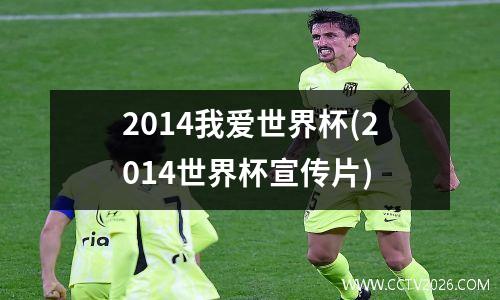 2014我爱世界杯(2014世界杯宣传片)