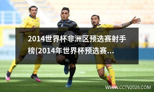 2014世界杯非洲区预选赛射手榜(2014年世界杯预选赛欧洲区)