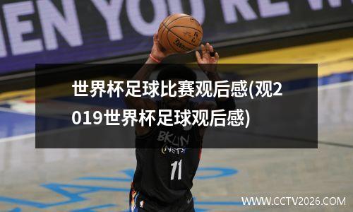 世界杯足球比赛观后感(观2019世界杯足球观后感)