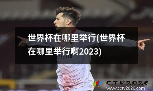 世界杯在哪里举行(世界杯在哪里举行啊2023)