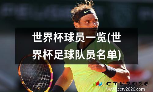 世界杯球员一览(世界杯足球队员名单)