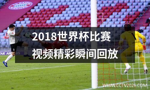 2018世界杯比赛视频精彩瞬间回放