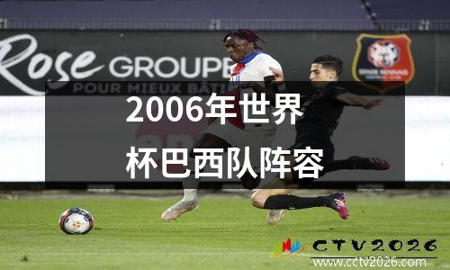 2006年世界杯巴西队阵容