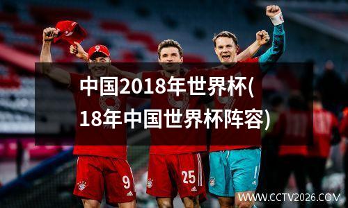 中国2018年世界杯(18年中国世界杯阵容)