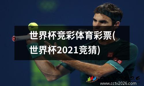 世界杯竞彩体育彩票(世界杯2021竞猜)