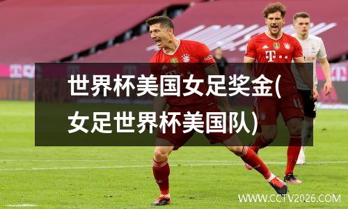 世界杯美国女足奖金(女足世界杯美国队)