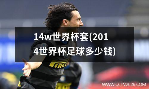 14w世界杯套(2014世界杯足球多少钱)