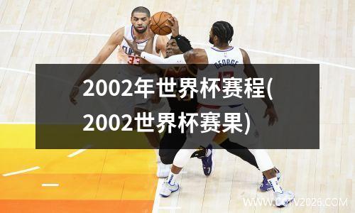 2002年世界杯赛程(2002世界杯赛果)