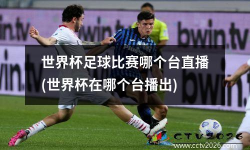 世界杯足球比赛哪个台直播(世界杯在哪个台播出)