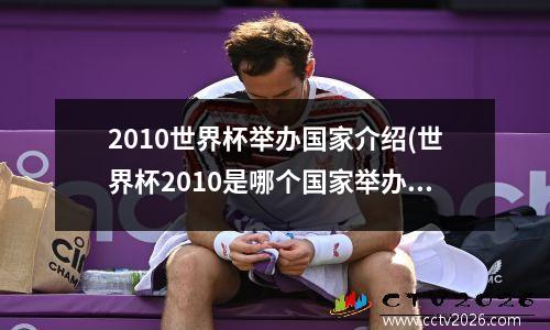 2010世界杯举办国家介绍(世界杯2010是哪个国家举办)