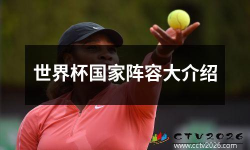 世界杯国家阵容大介绍