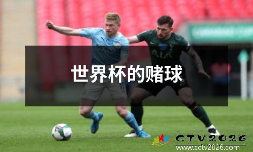 世界杯的赌球