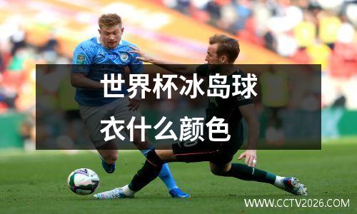 世界杯冰岛球衣什么颜色