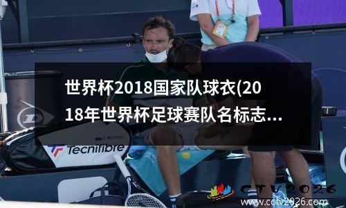 世界杯2018国家队球衣(2018年世界杯足球赛队名标志)