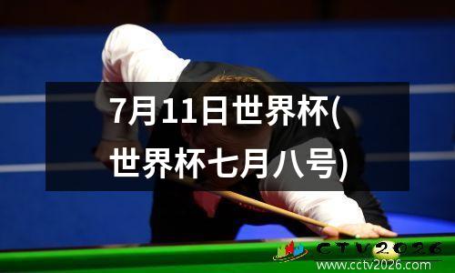 7月11日世界杯(世界杯七月八号)