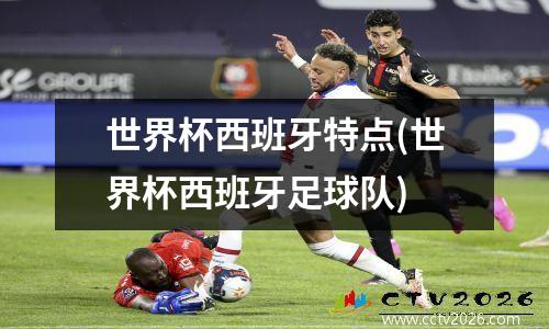 世界杯西班牙特点(世界杯西班牙足球队)