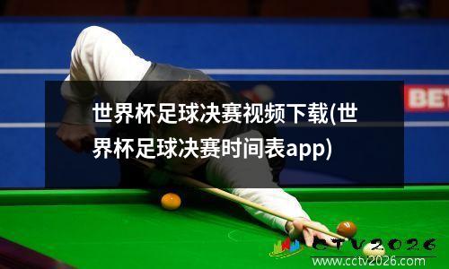 世界杯足球决赛视频下载(世界杯足球决赛时间表app)