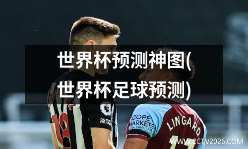 世界杯预测神图(世界杯足球预测)