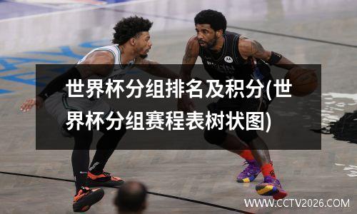 世界杯分组排名及积分(世界杯分组赛程表树状图)