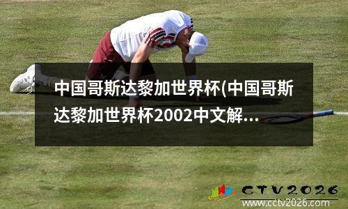 中国哥斯达黎加世界杯(中国哥斯达黎加世界杯2002中文解说)