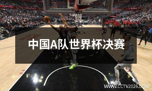 中国A队世界杯决赛