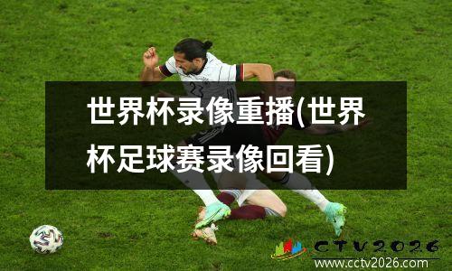 世界杯录像重播(世界杯足球赛录像回看)