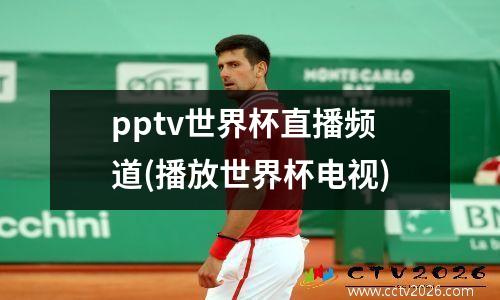 pptv世界杯直播频道(播放世界杯电视)