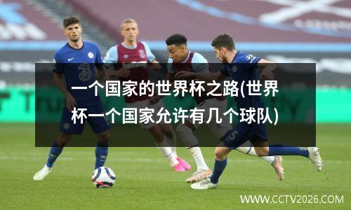 一个国家的世界杯之路(世界杯一个国家允许有几个球队)