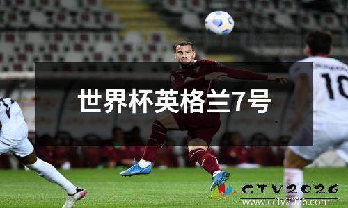 世界杯英格兰7号