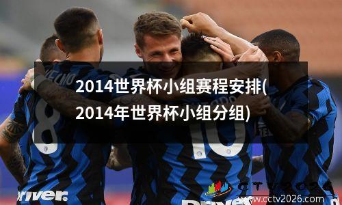 2014世界杯小组赛程安排(2014年世界杯小组分组)