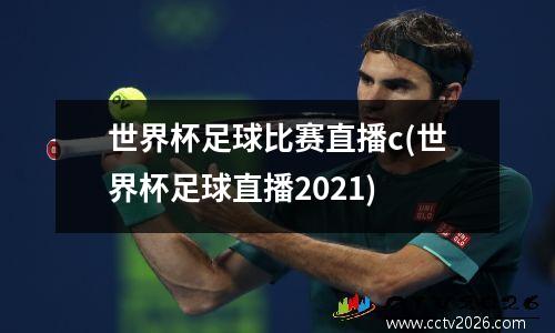 世界杯足球比赛直播c(世界杯足球直播2021)