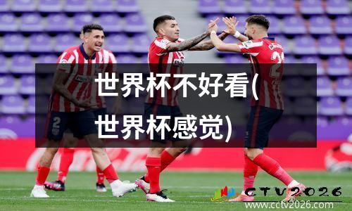 世界杯不好看(世界杯感觉)