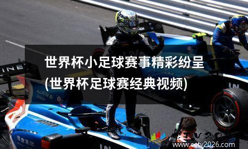 世界杯小足球赛事精彩纷呈(世界杯足球赛经典视频)