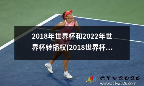 2018年世界杯和2022年世界杯转播权(2018世界杯视频回看)