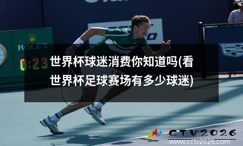 世界杯球迷消费你知道吗(看世界杯足球赛场有多少球迷)