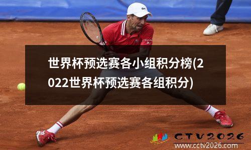 世界杯预选赛各小组积分榜(2022世界杯预选赛各组积分)