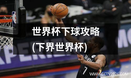 世界杯下球攻略(下界世界杯)