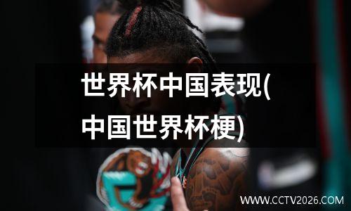 世界杯中国表现(中国世界杯梗)