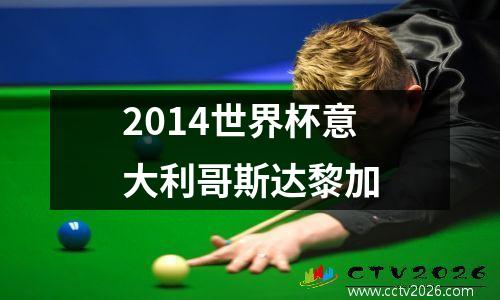 2014世界杯意大利哥斯达黎加