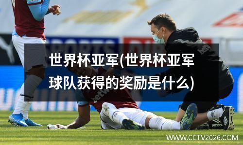 世界杯亚军(世界杯亚军球队获得的奖励是什么)