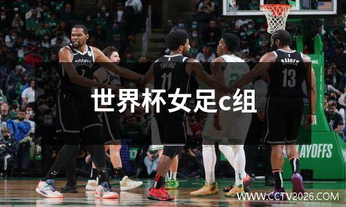 世界杯女足c组