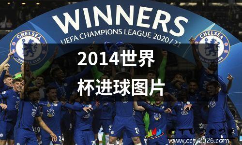 2014世界杯进球图片