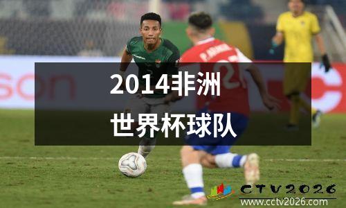 2014非洲世界杯球队