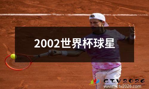 2002世界杯球星