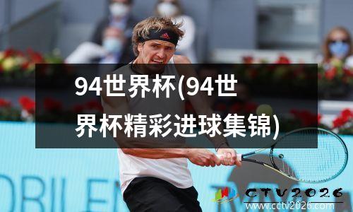 94世界杯(94世界杯精彩进球集锦)